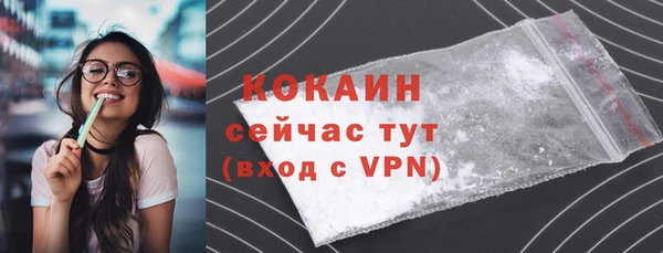 индика Богородск