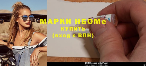 шишки Богородицк