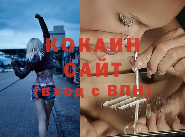 индика Богородск