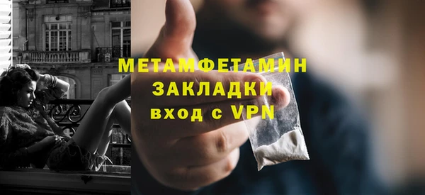 индика Богородск