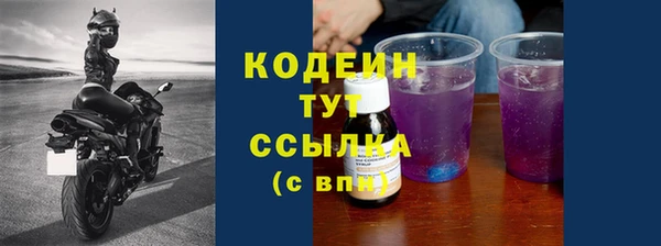 шишки Богородицк