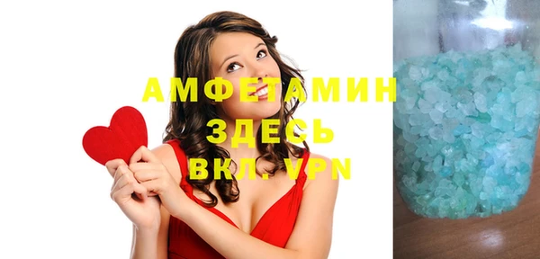 шишки Богородицк