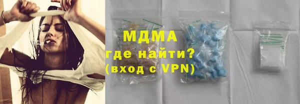 индика Богородск