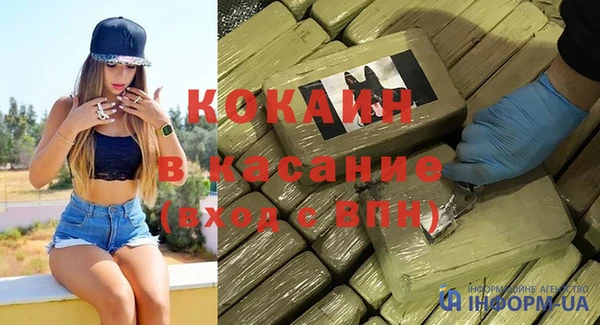 шишки Богородицк