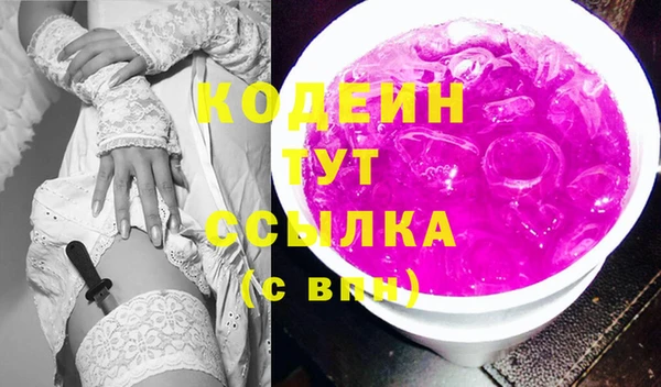 индика Богородск