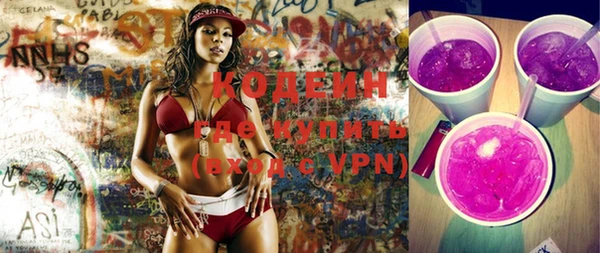 шишки Богородицк