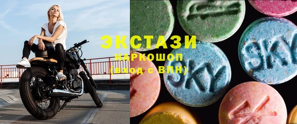 индика Богородск