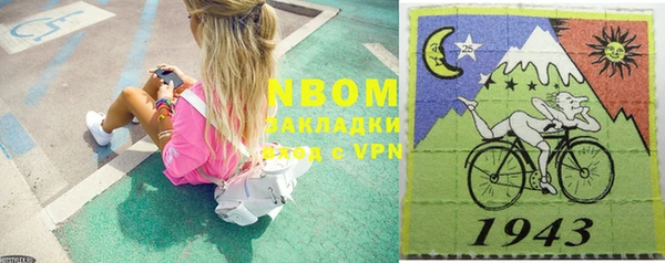 шишки Богородицк