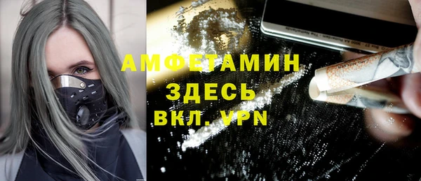 шишки Богородицк