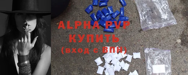 индика Богородск