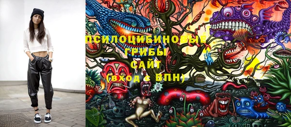 индика Богородск