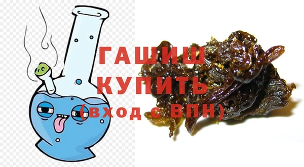 шишки Богородицк