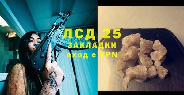 индика Богородск