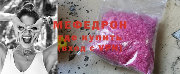 индика Богородск
