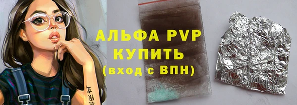 индика Богородск
