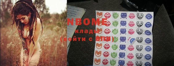 индика Богородск