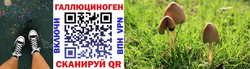 Псилоцибиновые грибы Magic Shrooms  кракен рабочий сайт  Кочубеевское 